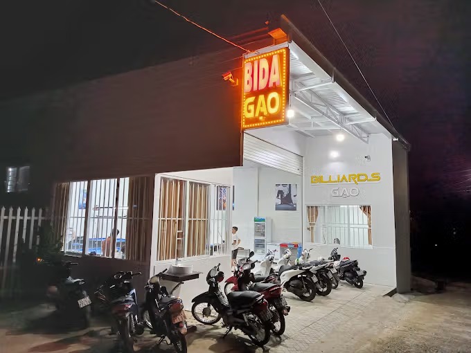 Bida GẠO