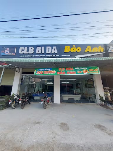 BIDA BẢO ANH
