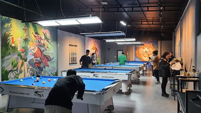 Akita Billiards